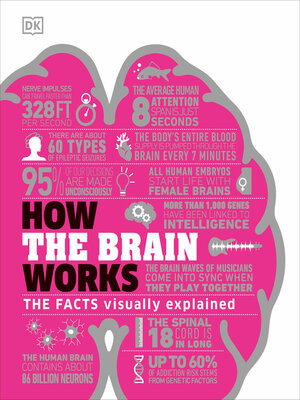 How the Brain Works - ebook